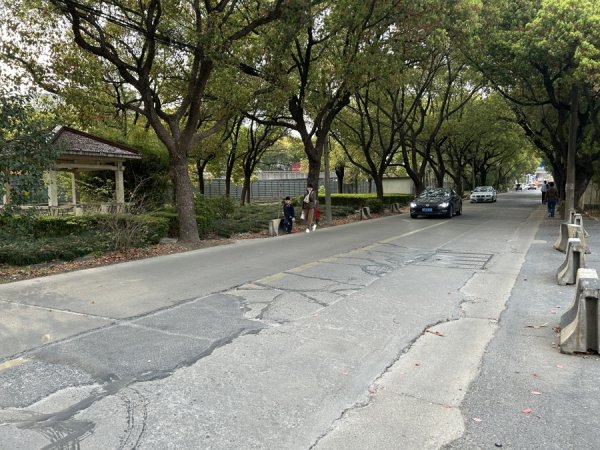 网上炒股配资开户 人车混行，路面坑洼，被吐槽为“莘庄最差道路”的虹莘路何时大修？
