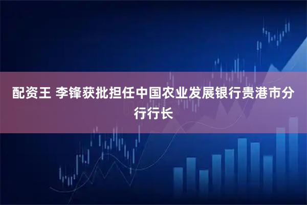 配资王 李锋获批担任中国农业发展银行贵港市分行行长